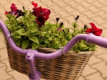 Basket of Fowers