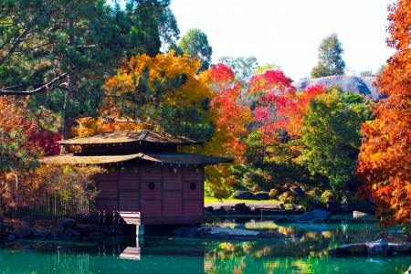 Japanese Garden at Autumn - trees, pond, cabin, colors, leaves