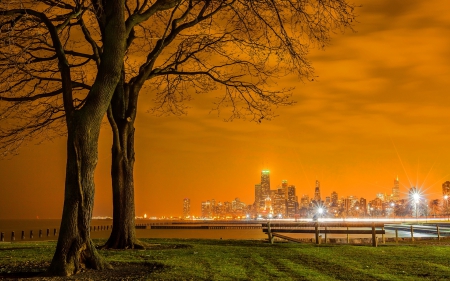 Lake Shore Drive in Chicago - nature, sky, trees, chicago, sunsets, cityscape