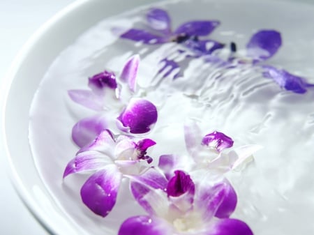 Fragrant Flowers - wellness, purple, fragrant, spa, flowers