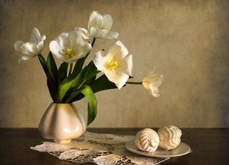 Still Life - flowers, beautiful, white, still life