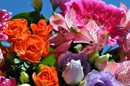 Flowers - flowers, roses, colorful, fresh, summer, beautiful, lovely, bouquet