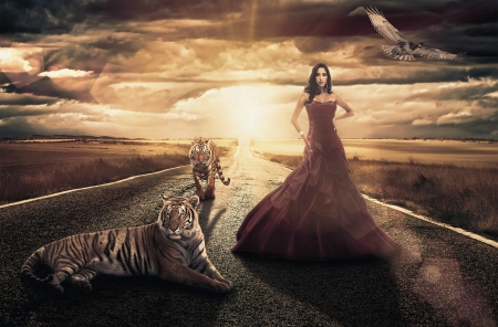 The Guardians - clouds, female, fields, road, dress, girl, eagle, woman, tigers, brunette, sun, sky