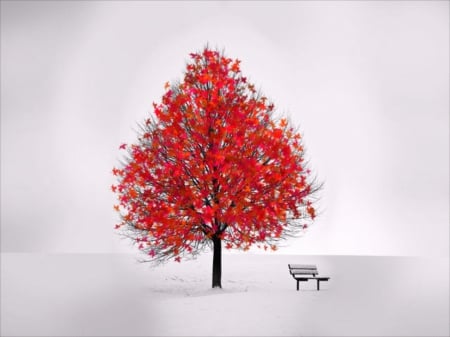 Red Solitude - red, seasons, leaves, bench, tree, nature, autumn, colorful, cold