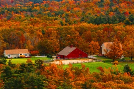 Autumn Grandeur - trees, grandeur, beautiful, autumn, forest, houses