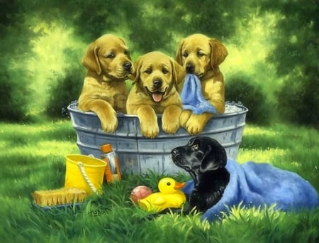 Bathing puppies