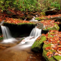 Fall Season Waterfalls