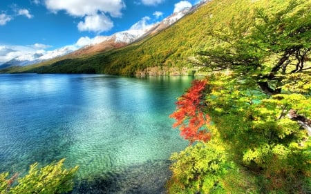 FOREST LAKESCAPE - water, splendor, landscape, flowers, nature, lake, paradise, mountains, sky