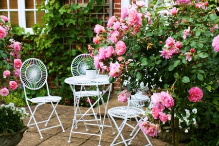 Rose Garden - veranda, roses, blossoms, pink, table, chairs