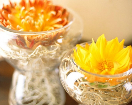 Flowers in a Glass - flowers, yellow, petals, glass