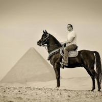 Egypt horse(rider)