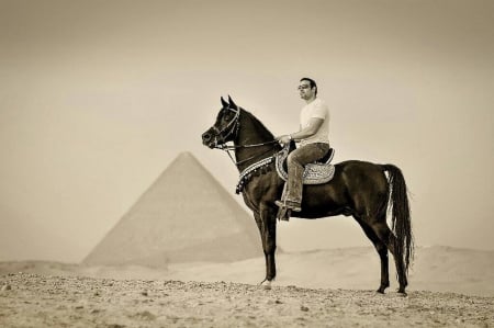 Egypt horse(rider) - Piramid, light, desert, dark