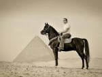 Egypt horse(rider)