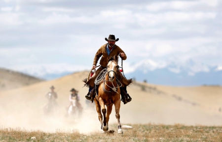 COWBOY - horses, nature, people, animals