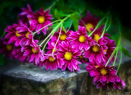 Lovely flowers - flowers, pretty, beautiful, lovely, bouquet