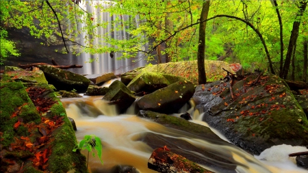 Forest waterfall - autumn, landscape, falling, stream, water, lovely, waterfall, rocks, creek, nature, fall, forest, beautiful, stones