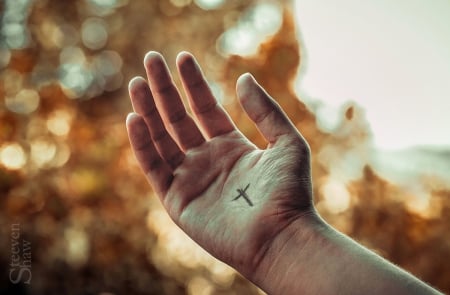 Artist Hand - cross, hand, light, sun