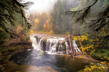 Forest Waterfall - trees, river, water, stones, rocks