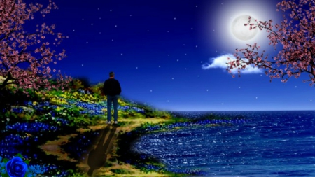 ~*~ Sadness ~*~ - sadness, fantasy, nature, HD wallpaper, loneliness, landscape, magic nught, full moon