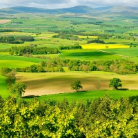 Hepburn Landscape, England