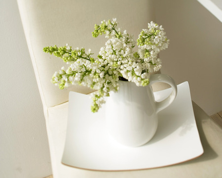 Purity in White - white walls, white plate, delicate white flowers, white jug