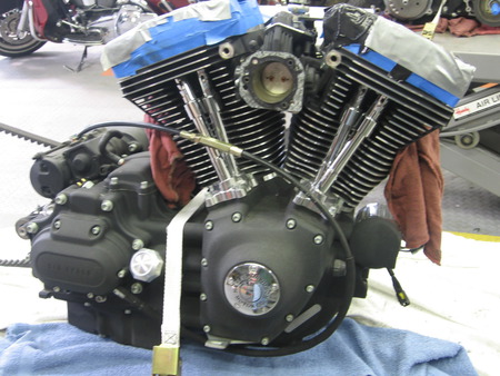 My bikes engine - harley, engine, motorcycle, vtwin