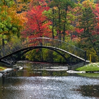 cloudy fall day