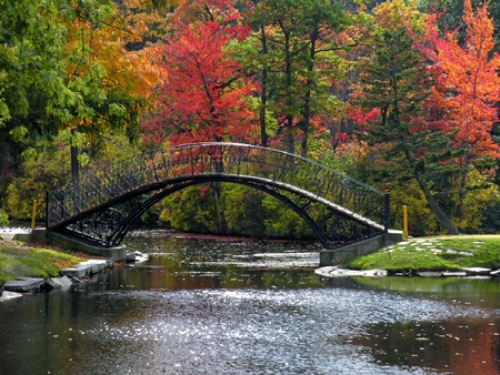 cloudy fall day - fall, day, cloudy