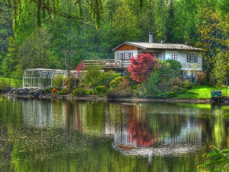 	a heavenly day - heavenly, house, forest