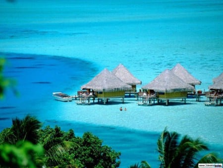 BoraBora Island - nature, sun