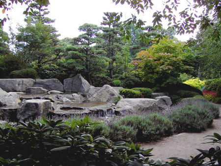 Green summer - nature, parks