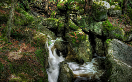 Enchanted spring - nature, falls