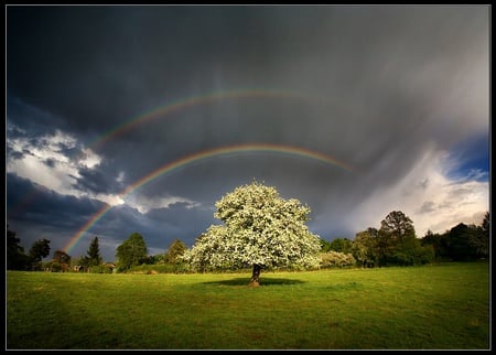 arc - arc, nature