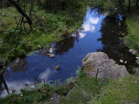 Looking down - calm, sky, trees, reflection, water, australia, pool, blue mountains