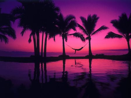 Puerto Vallarta  - beaches, beach, sky, trees, peaceful, hammock, sunset, puerto-vallarta, purple, reflection, resort, scene, puerto vallarta, mexico, ocean, palms, nature