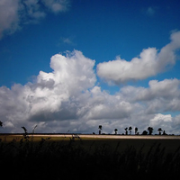 French landscape