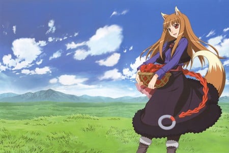 Holo - anime, spice and wolf, apples, holo