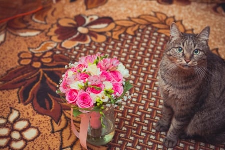 Kitten and bouquet - wedding, roses, bouquet, bride, kitten