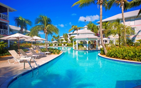 Pool - swimming pool, palm trees, hotel, sky, garden furniture