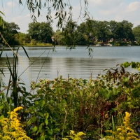 Breezy summer day