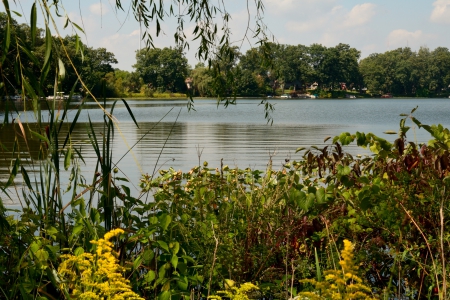 Breezy summer day - lakeshore, summer lake, scenic lake, pretty lake, day at the lake, breezy summer day