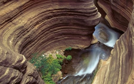 Canyon View - rock, canyons, nature, tree