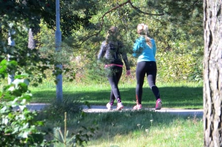 jogging - run, jogging, green, autum