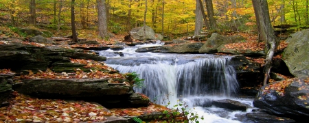 Forest Waterfall - leaves, nature, waterfalls, forests