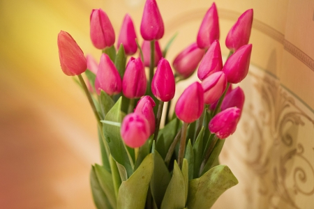 Pink Tulips - flowers, tulips, pink, soft