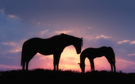 Horses sunset silhouette - horses, sunsets, nature, silhouette