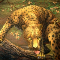 'Leopard Sees Prey'