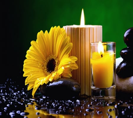 Flower - candle, rock, yellow, flower