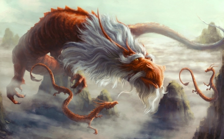 Dragons - white, fantasy, orange, dragon, art