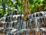 Forest Waterfall